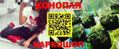 крисы Рыбинск
