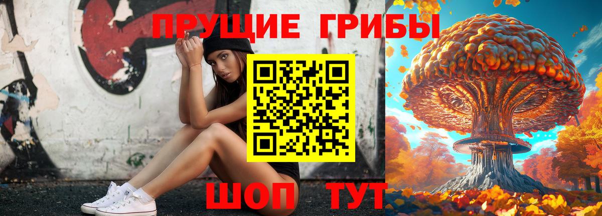 Псилоцибиновые грибы Psilocybine cubensis  Вход с VPN  хочу   Сергиев Посад 